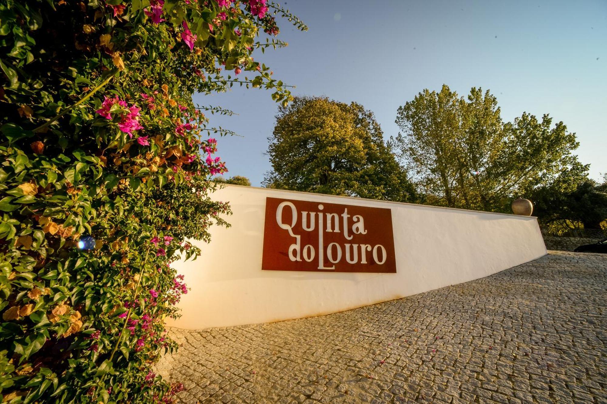 Quinta Do Louro Guest House Palmela Bagian luar foto
